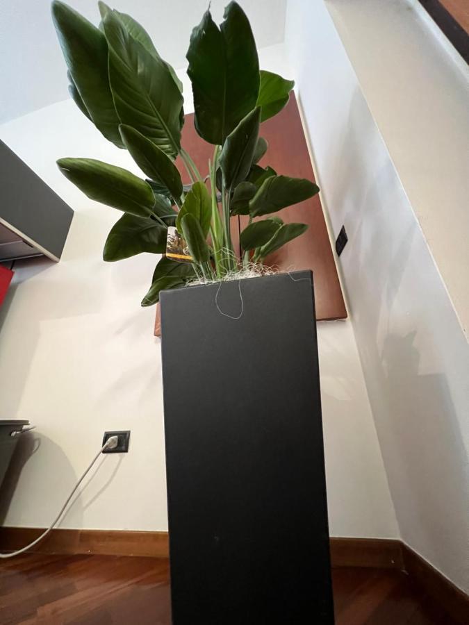 Effealatapartments - Appartamento Del Duca Senigallia Bagian luar foto